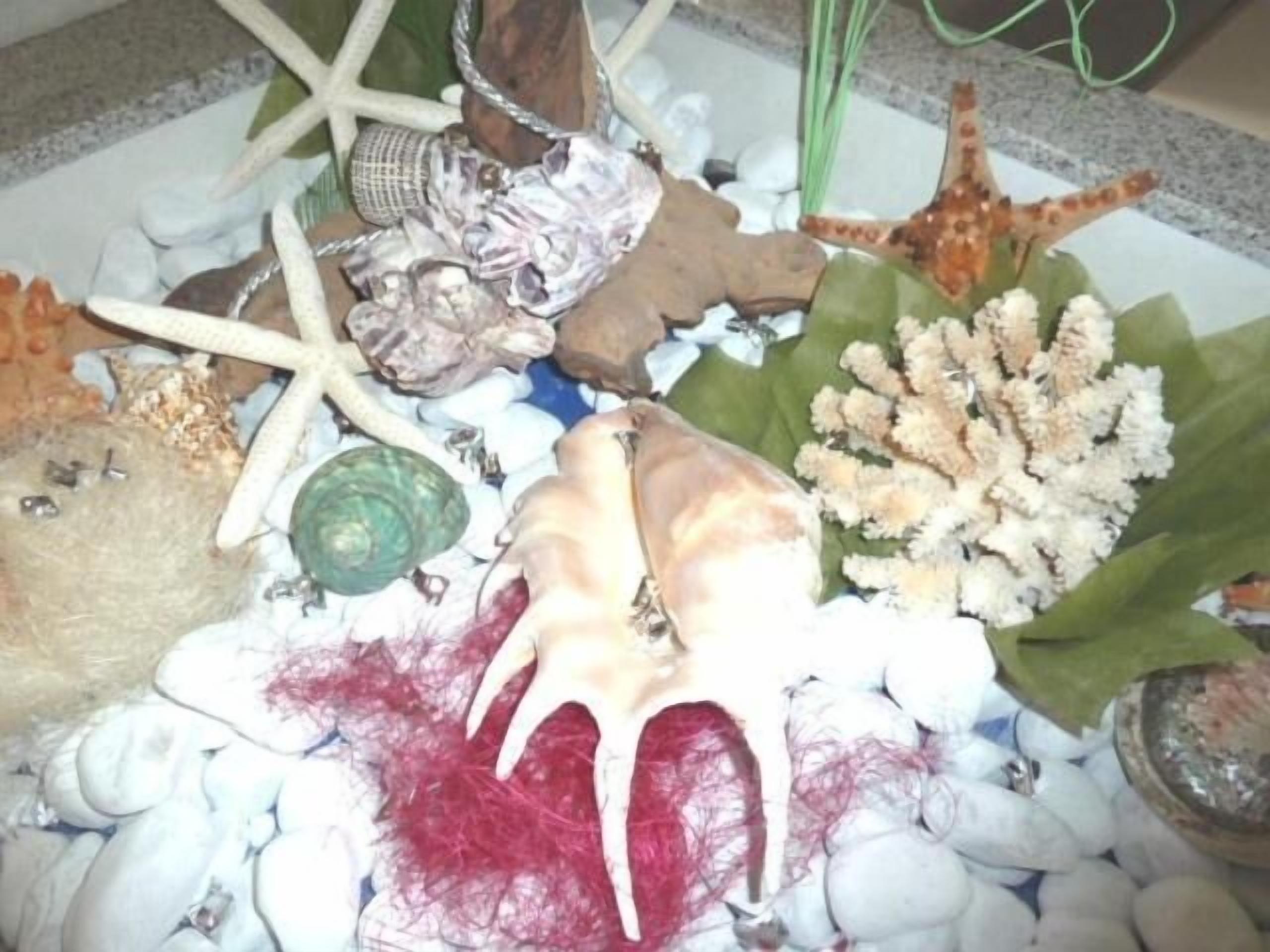 lunch and dinner served, regional cuisine