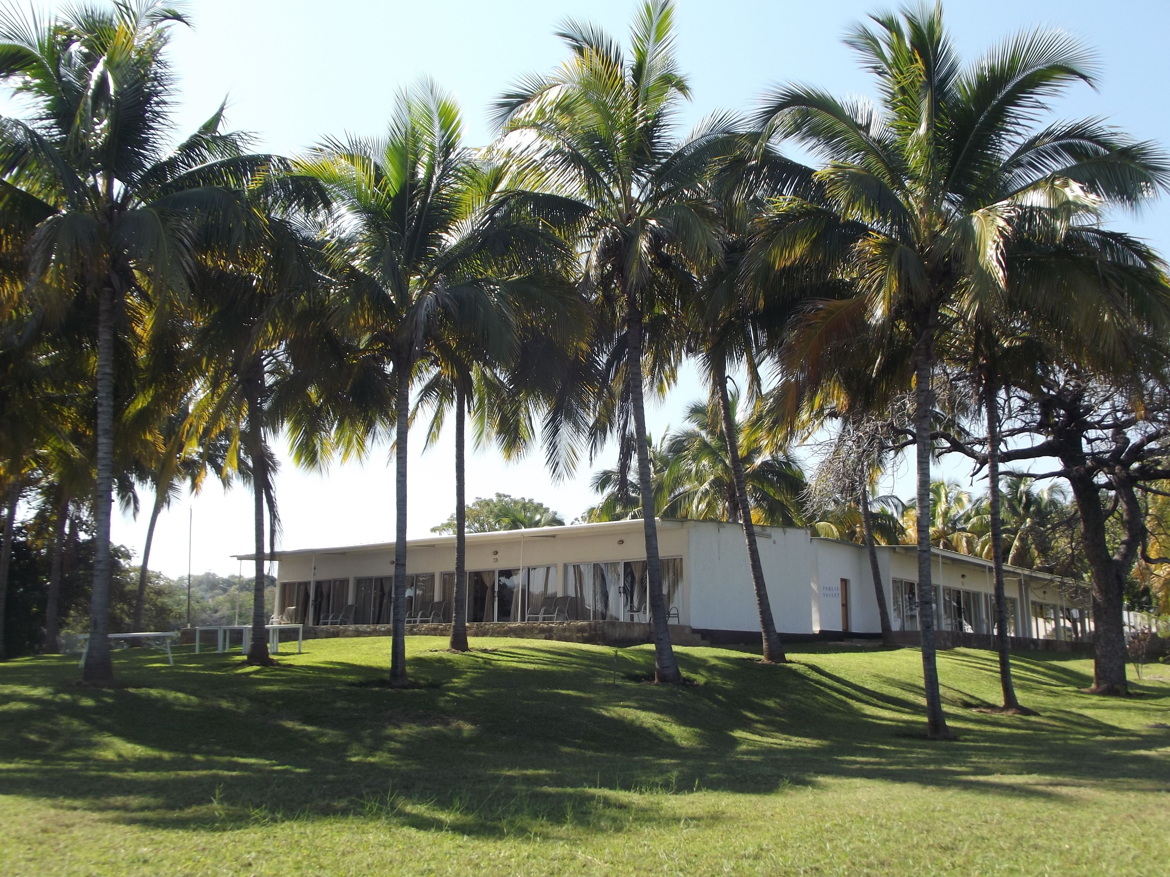 Un edificio rodeado de palmeras.
