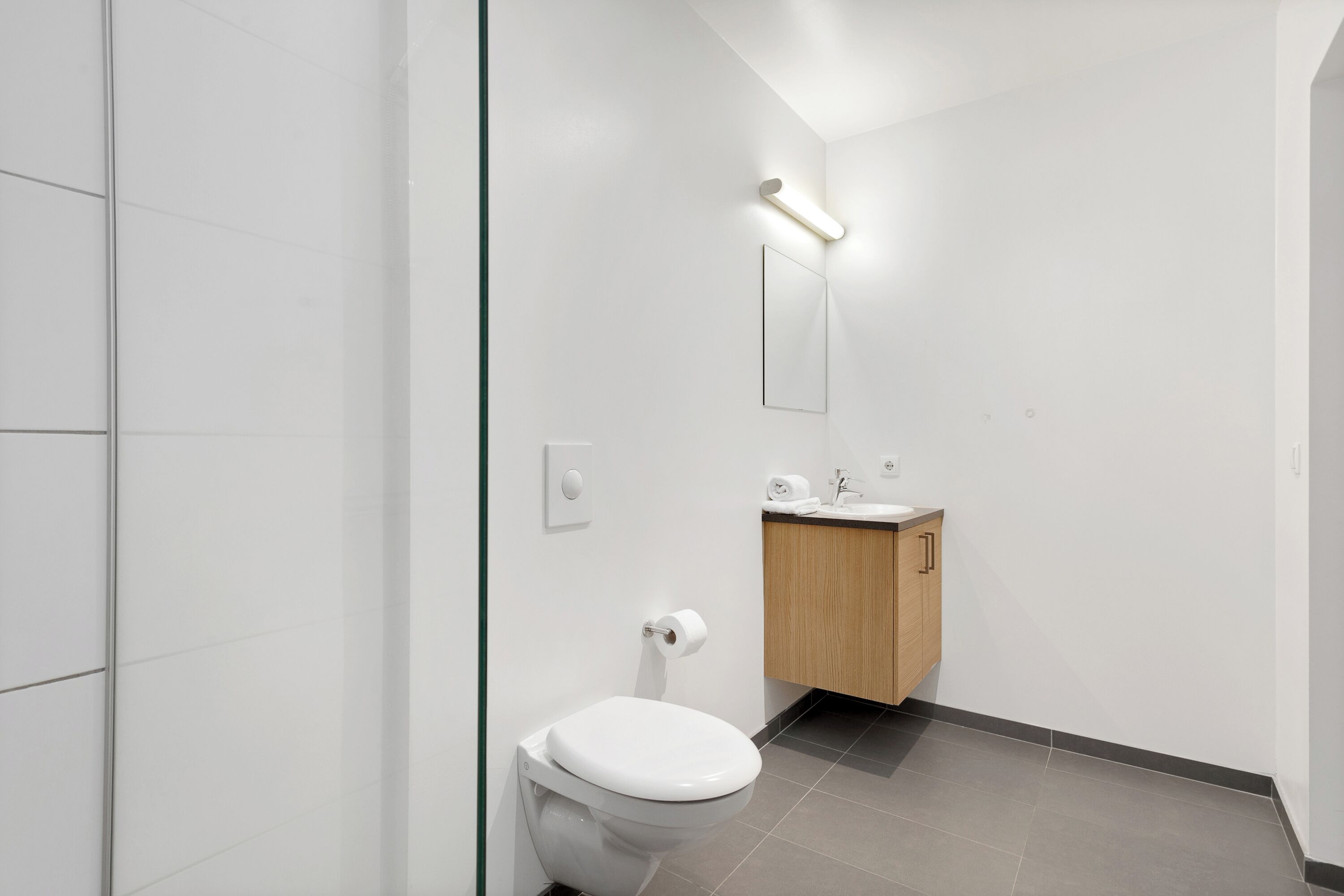 A modern bathroom with a toilet, a wooden cabinet, and a mirror.