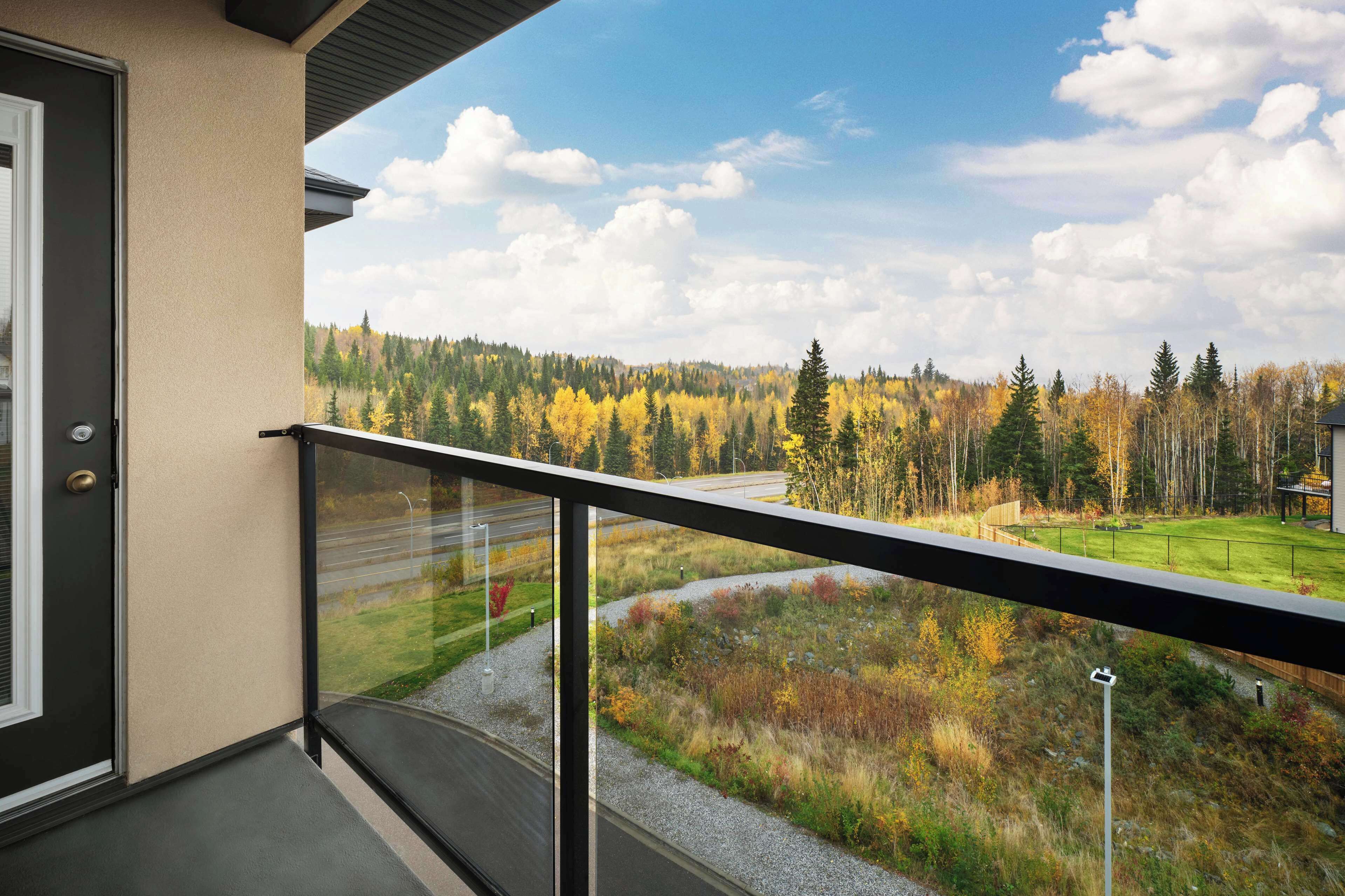 suite, 1 king bed, non smoking, kitchen (with sofabed) | room amenity