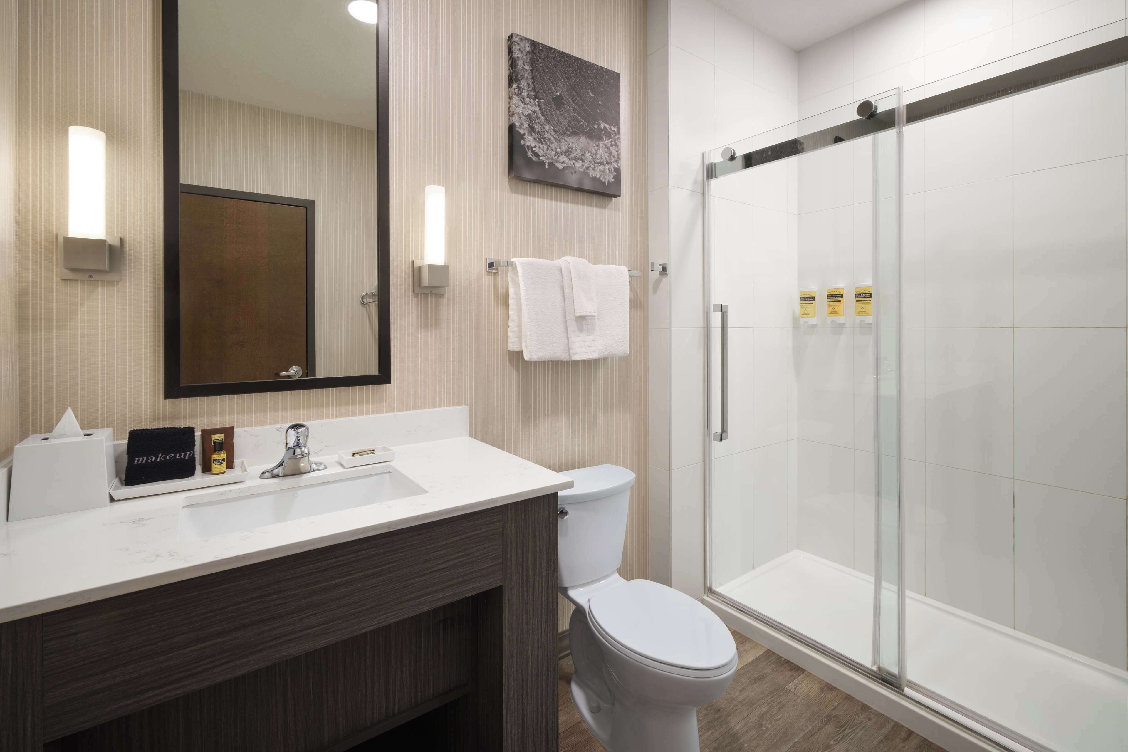 suite, 1 king bed, non smoking, kitchen (with sofabed) | bathroom | free toiletries, hair dryer, towels, soap