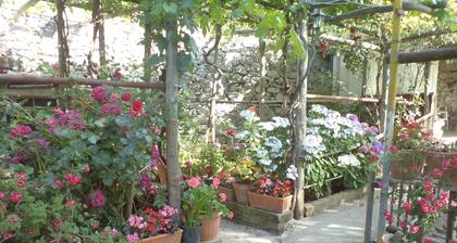 B&B Puntaferano
