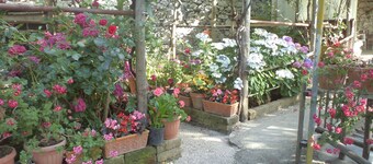 B&B Puntaferano