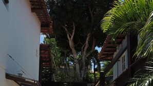 Una scala in pietra conduce a un edificio con tetto in tegole e un grande albero sullo sfondo.