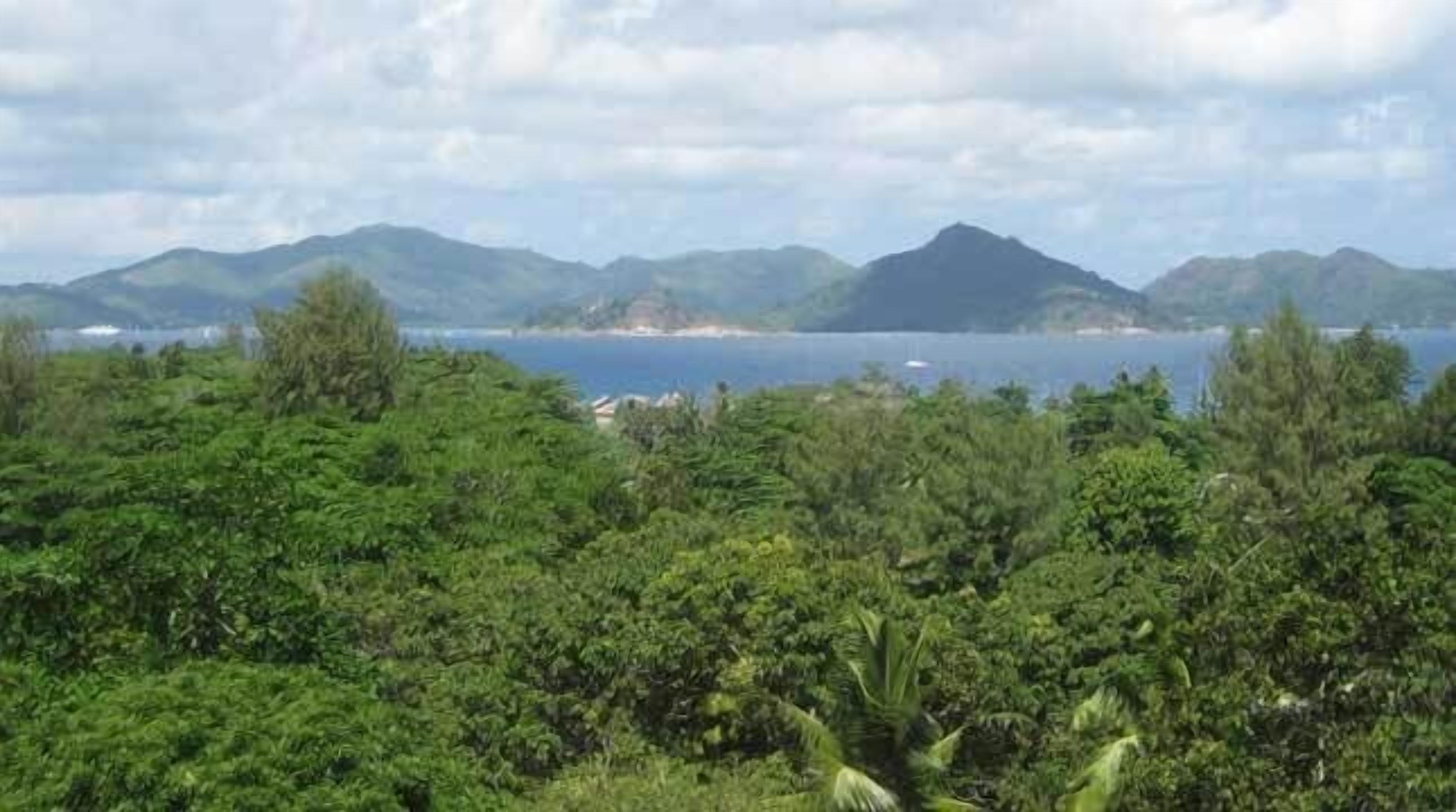 Pemandangan dari properti