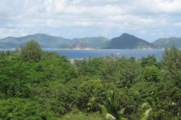 Pemandangan dari properti