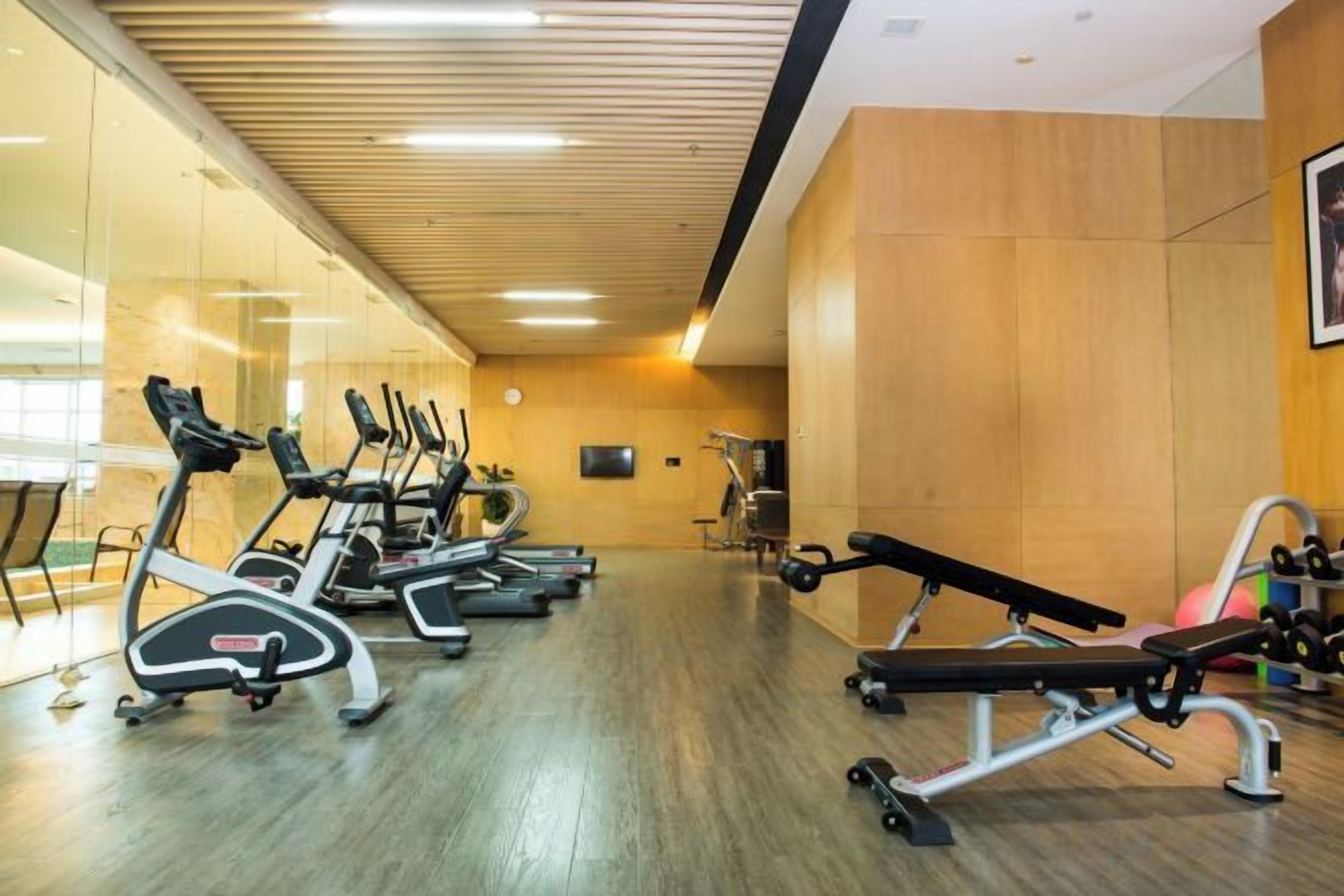 A gym with treadmills, a bench press, and weight machines.