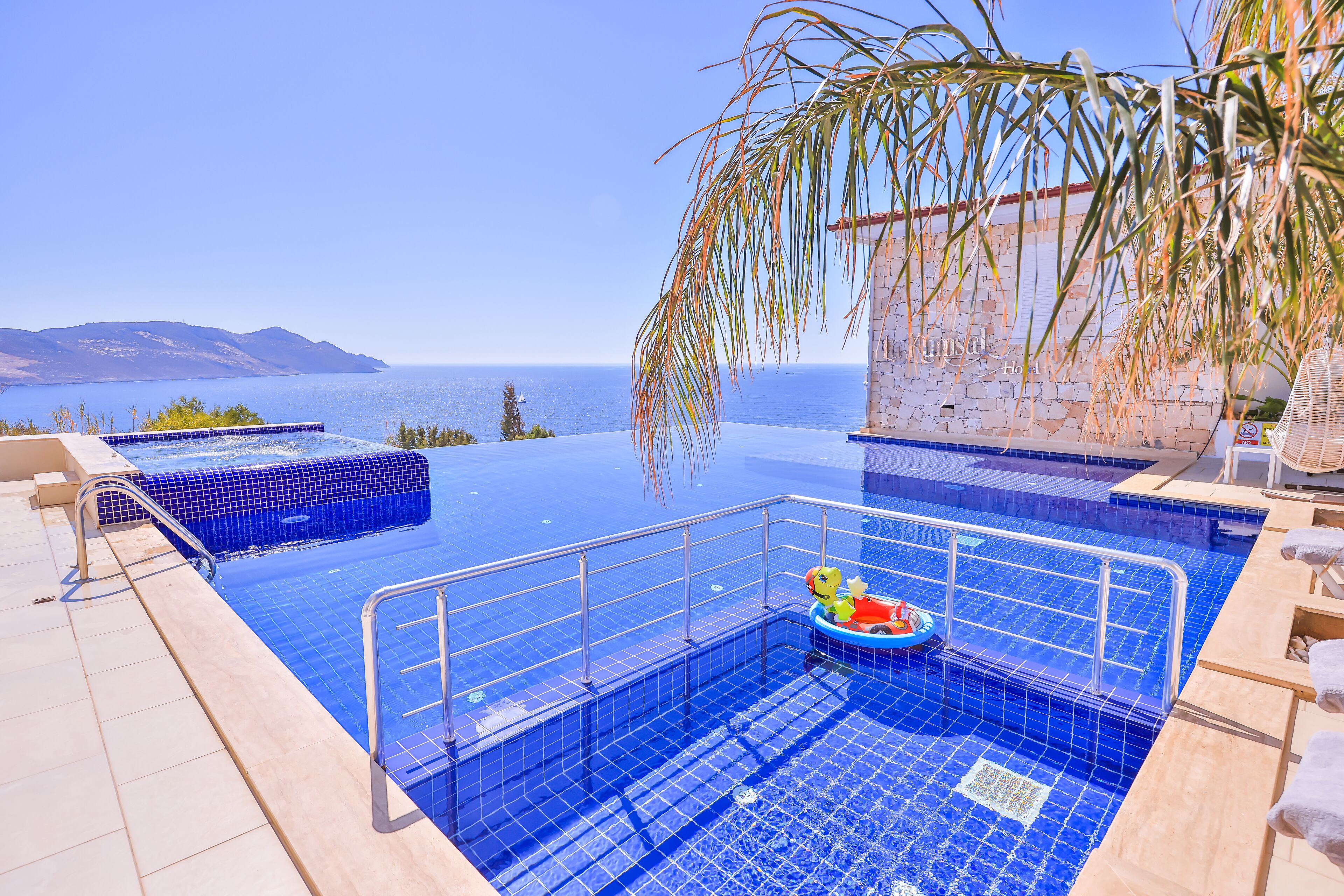 An infinity pool with a view of the sea, a palm tree, and a small inflatable toy.