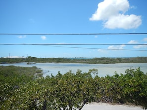 Vista da propriedade