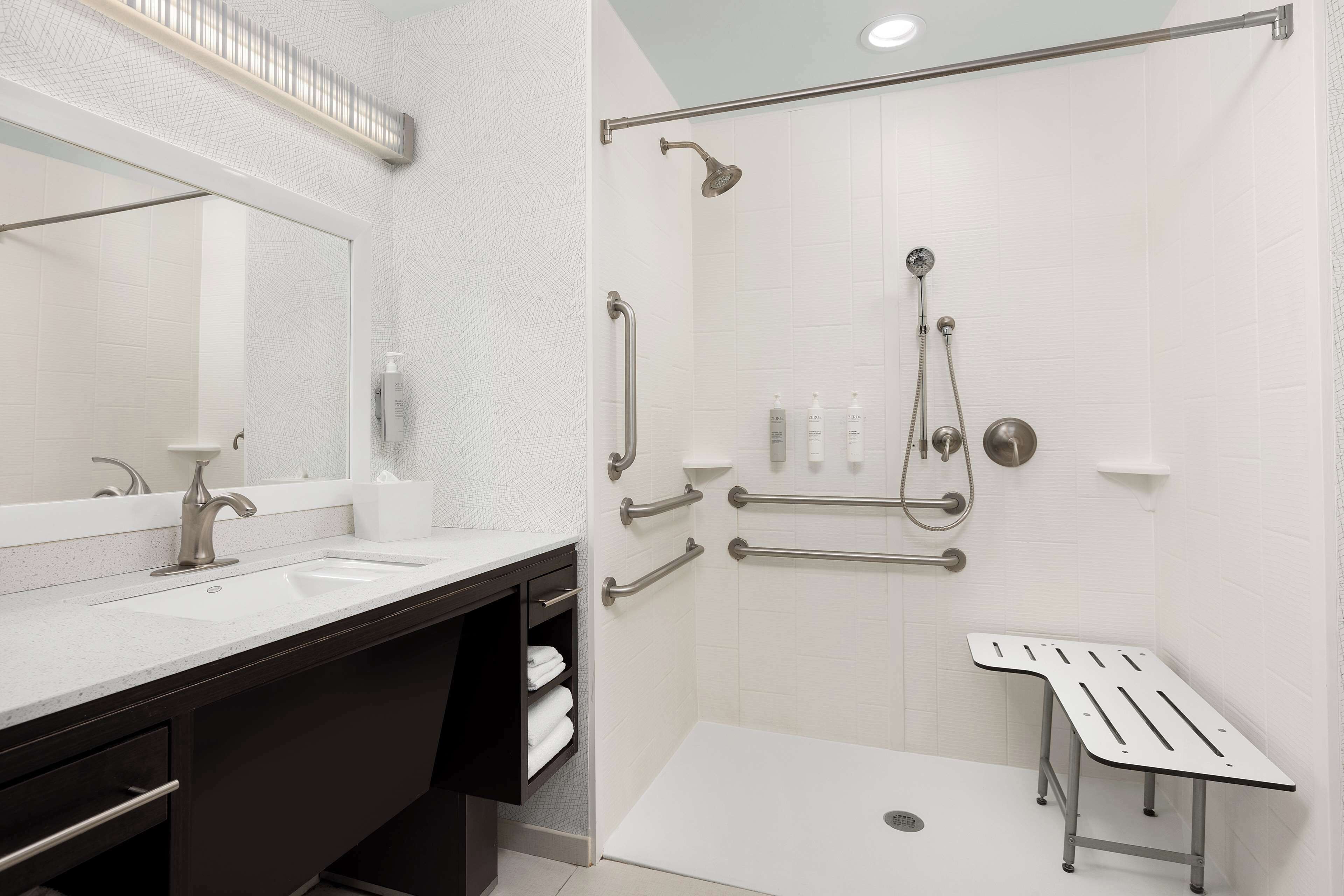 studio, 1 queen bed, accessible (roll-in shower) | bathroom shower