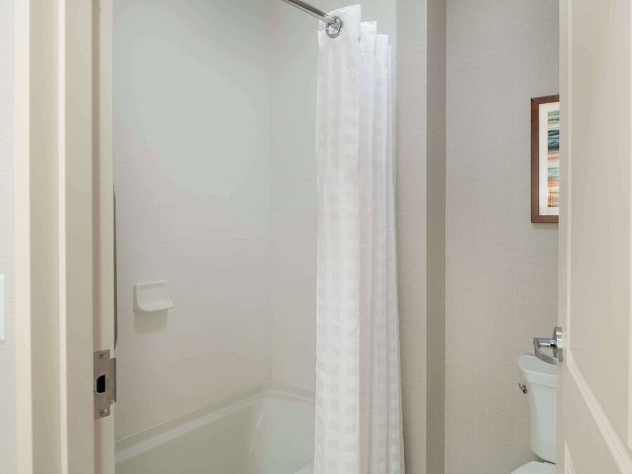 A bathroom with a shower, toilet, and a framed picture on the wall.