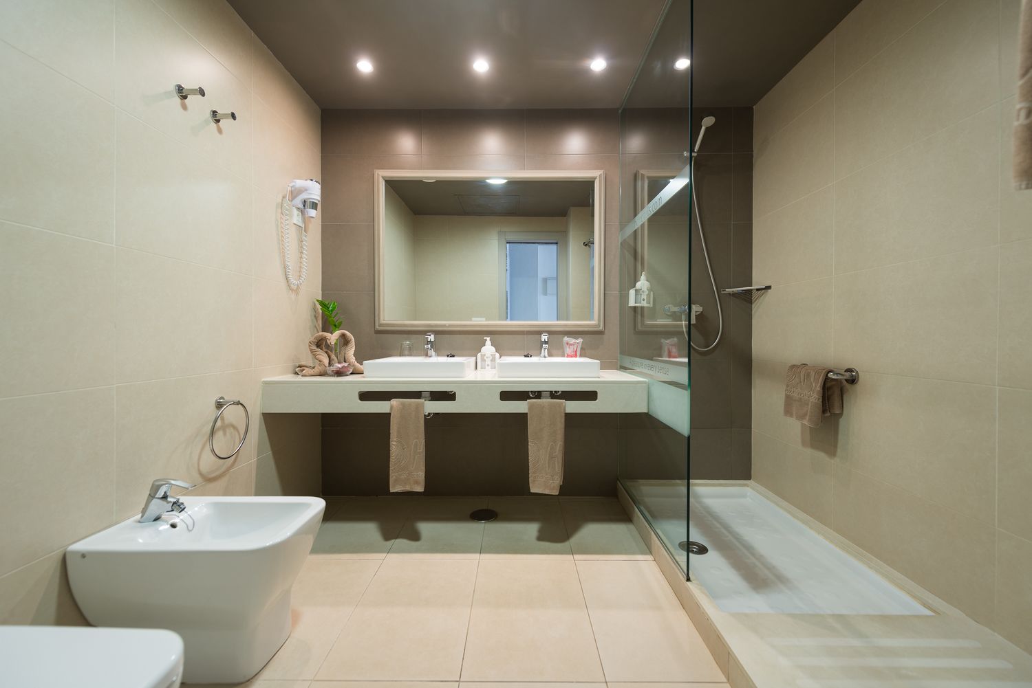 suite (single use) | bathroom | shower, hair dryer, towels