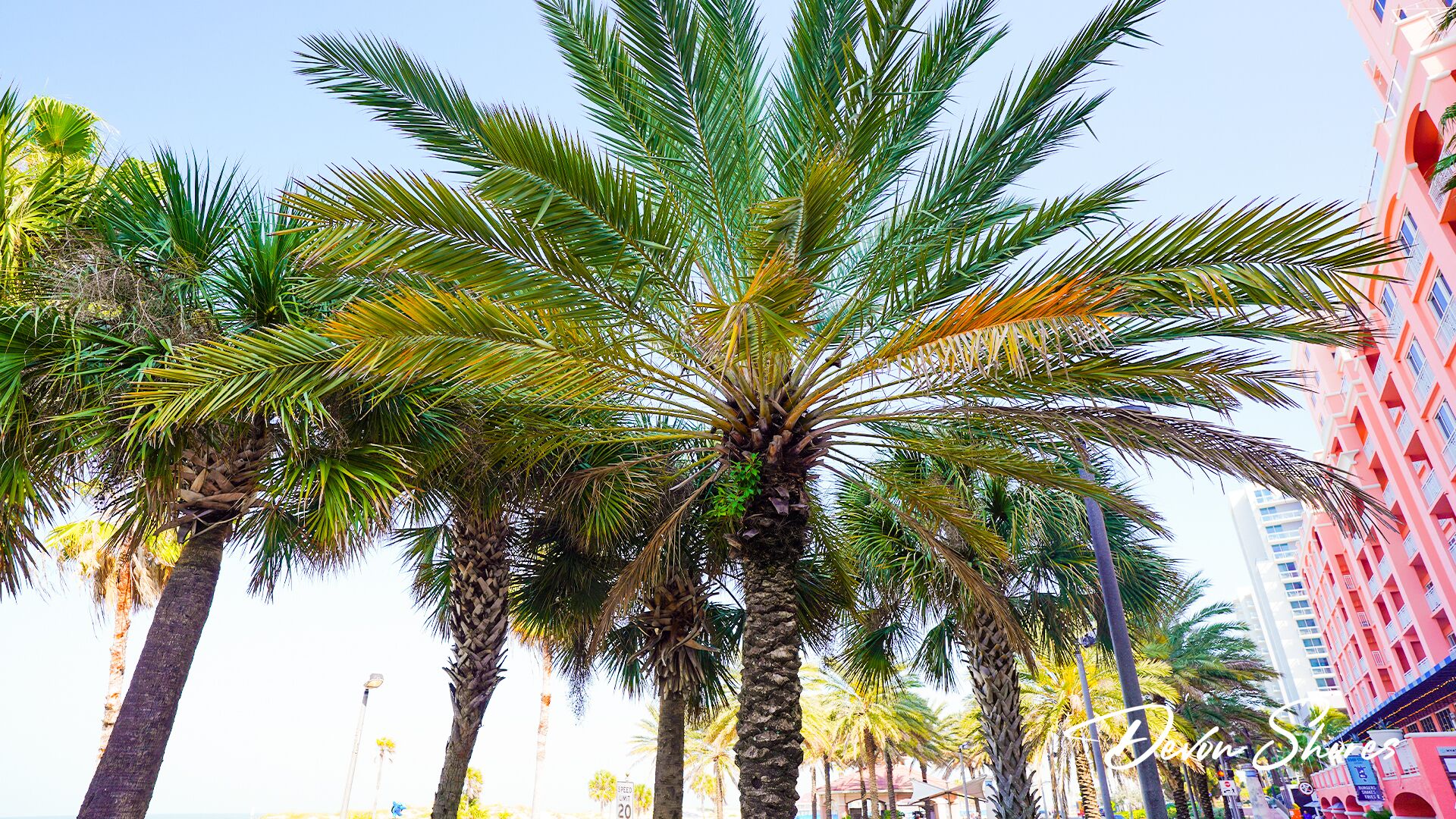 beach nearby, white sand