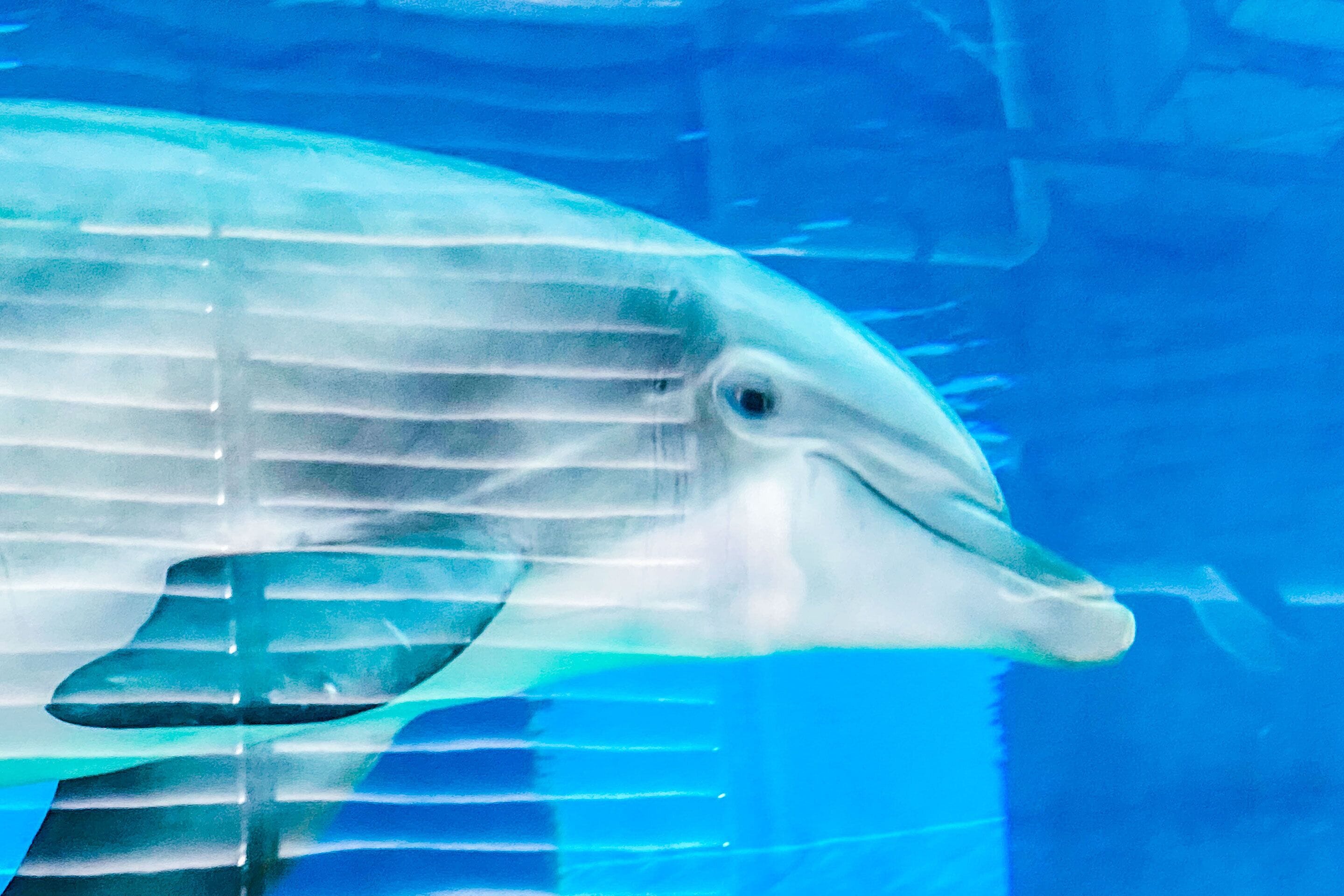 children’s activities