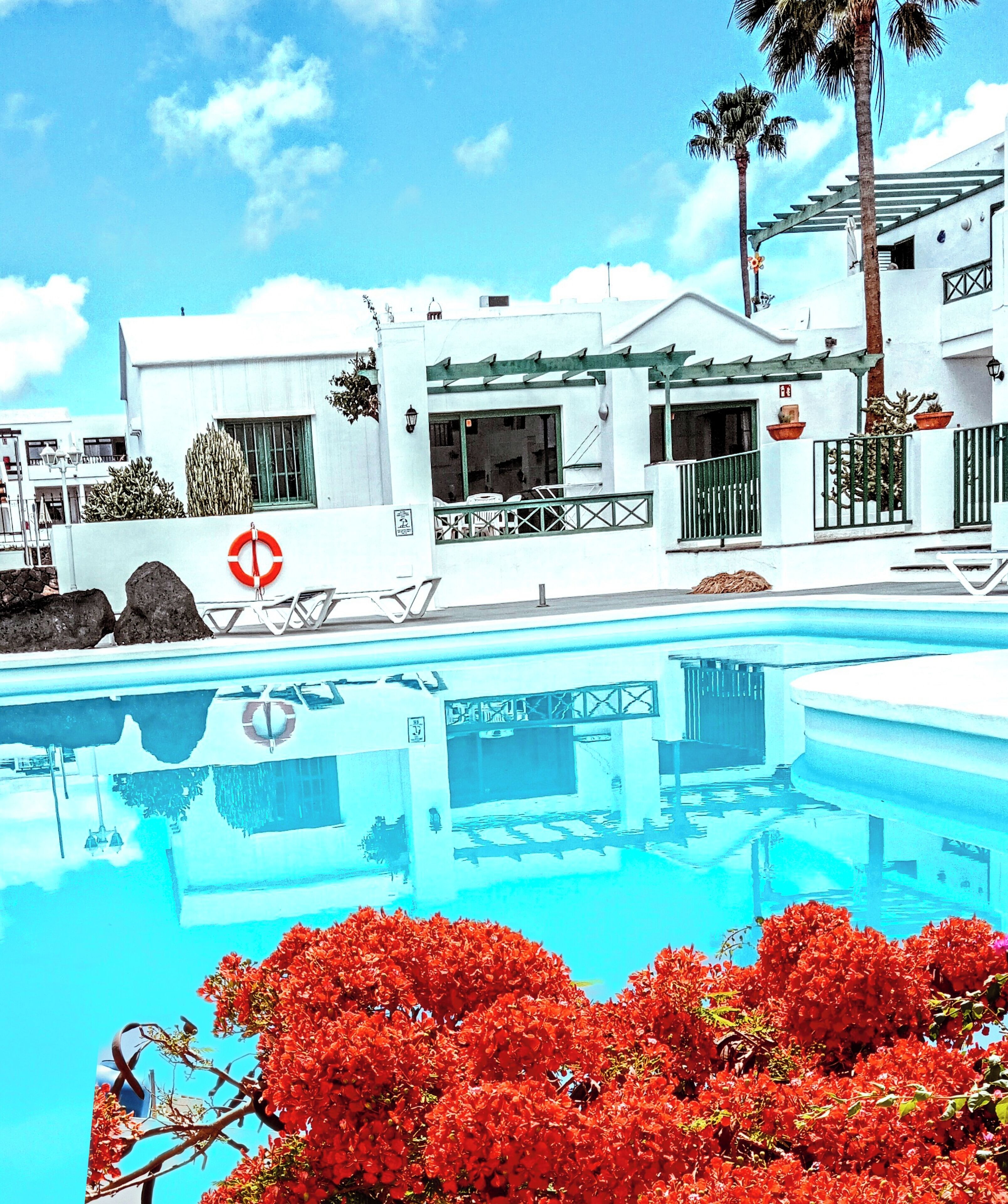 Vue sur une piscine moderne depuis le bord, avec une eau d’un bleu limpide, des murs blancs et des fleurs rouges au premier plan.