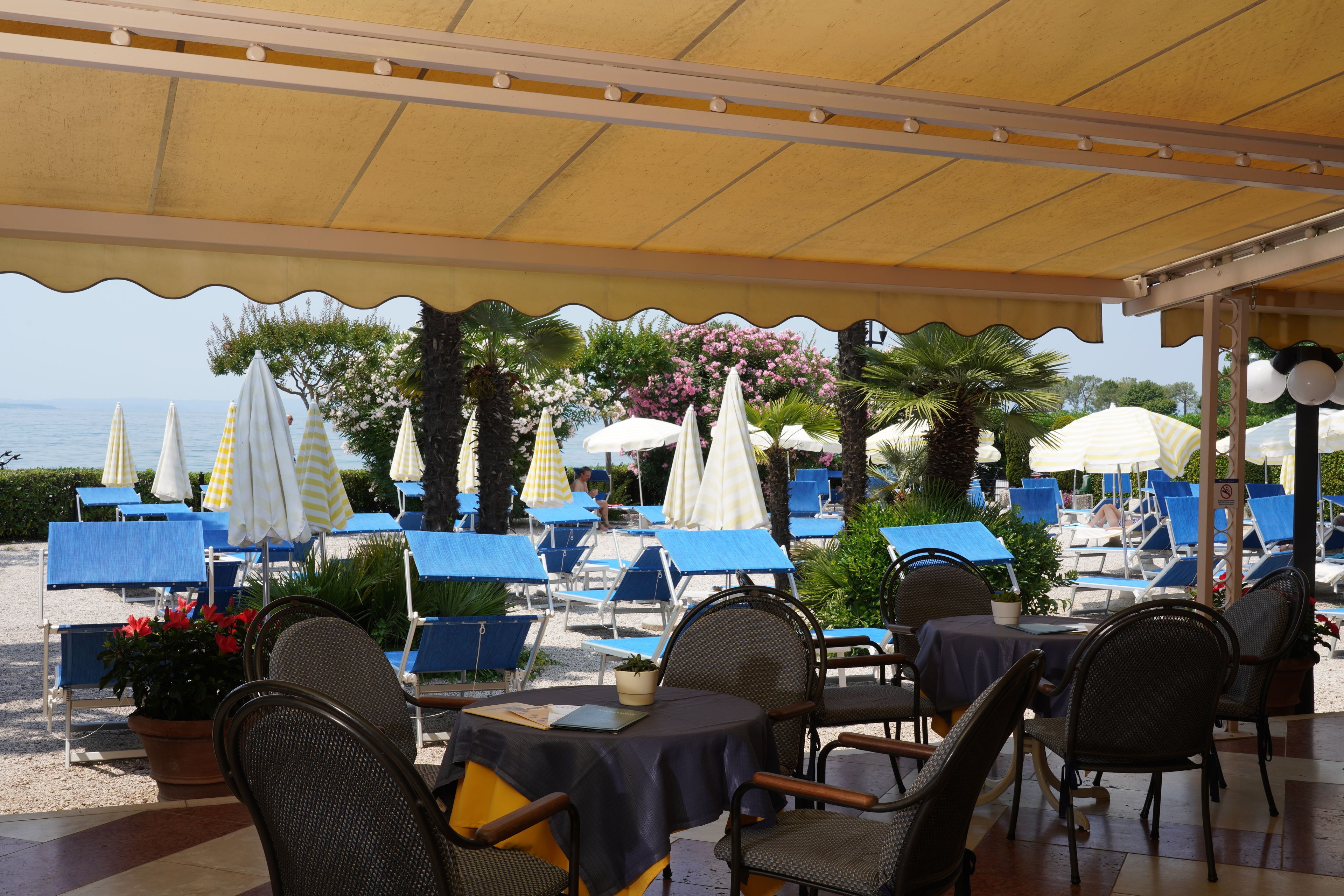 lunch and dinner served, international cuisine