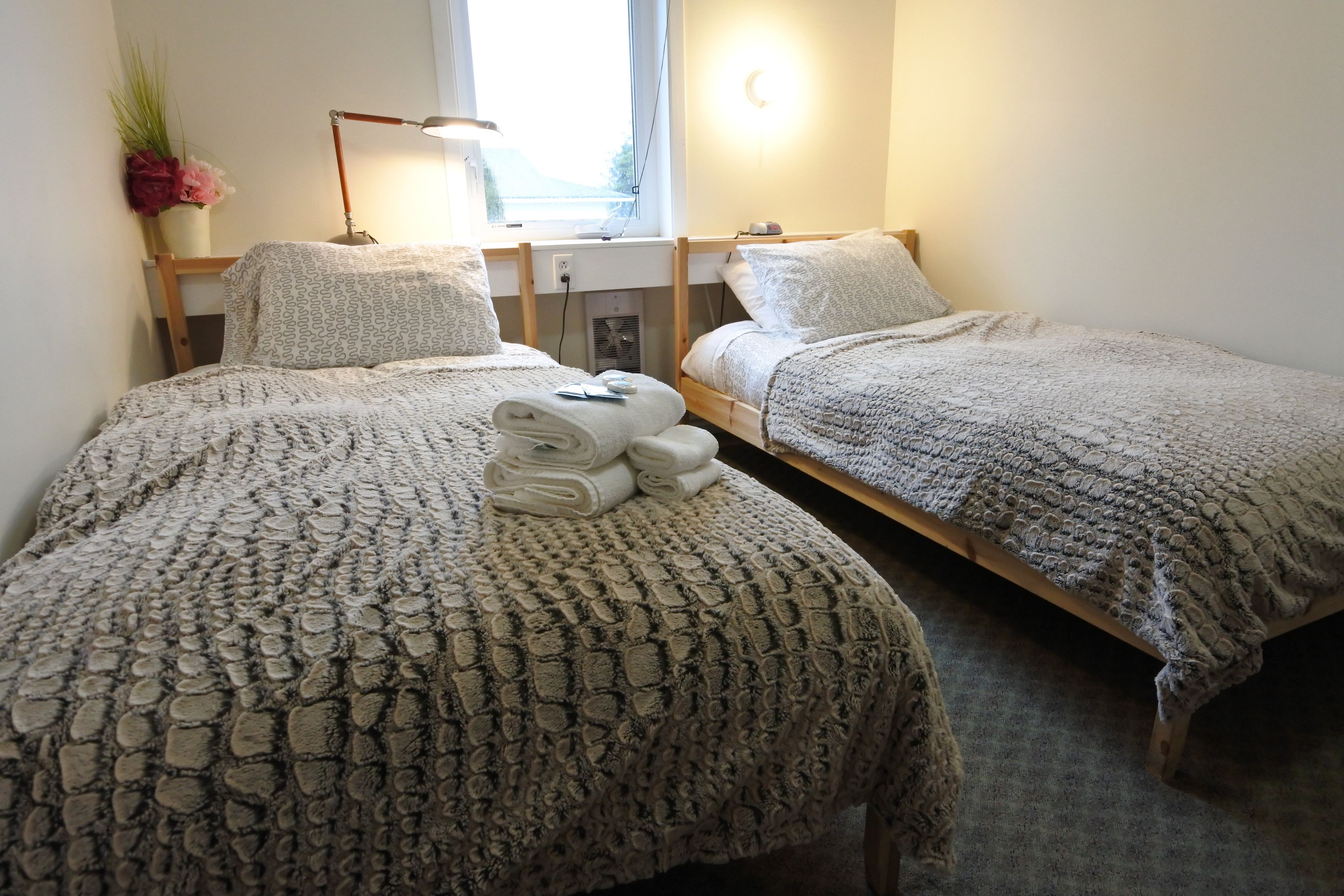 A twin room with two beds, a bedside table with a lamp, a window with a view, and a small plant.