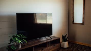 Un salon moderne avec un grand téléviseur à écran plat posé sur un meuble en bois, une plante en pot et un miroir accroché au mur.