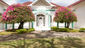 A building with a white facade, green trim, and a red roof. There are two trees with pink flowers in front. - Diamond Villas and Suites (Montego Bay)