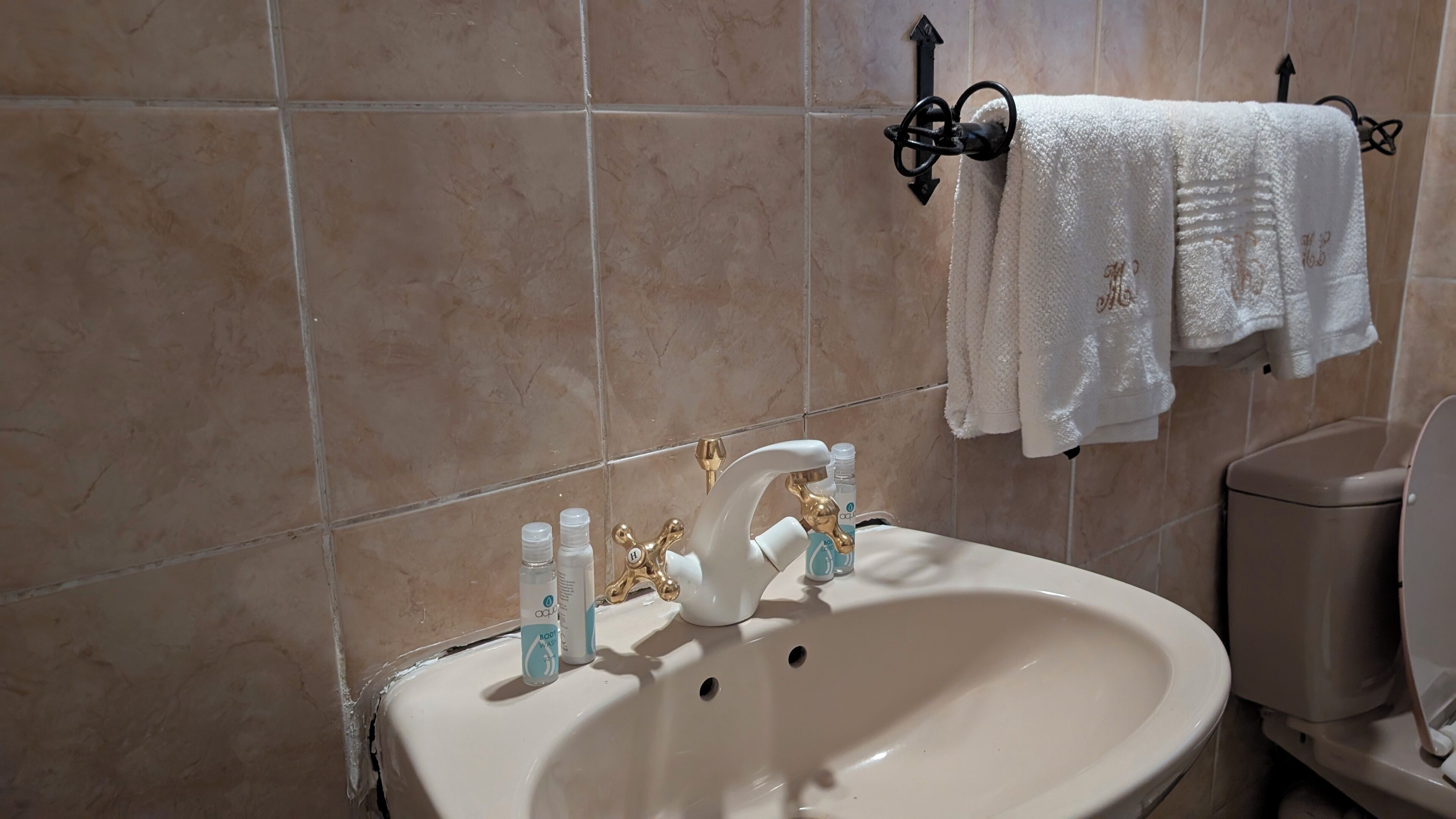 Un baño con lavamanos, dos botellas de jabón para manos, un perchero con dos toallas blancas y un inodoro.