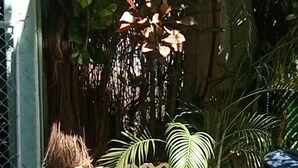 Terrace/patio - Posada Marpez - Hostel (Cancun)