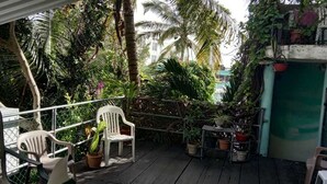 Terrace/patio - Posada Marpez - Hostel (Cancun)