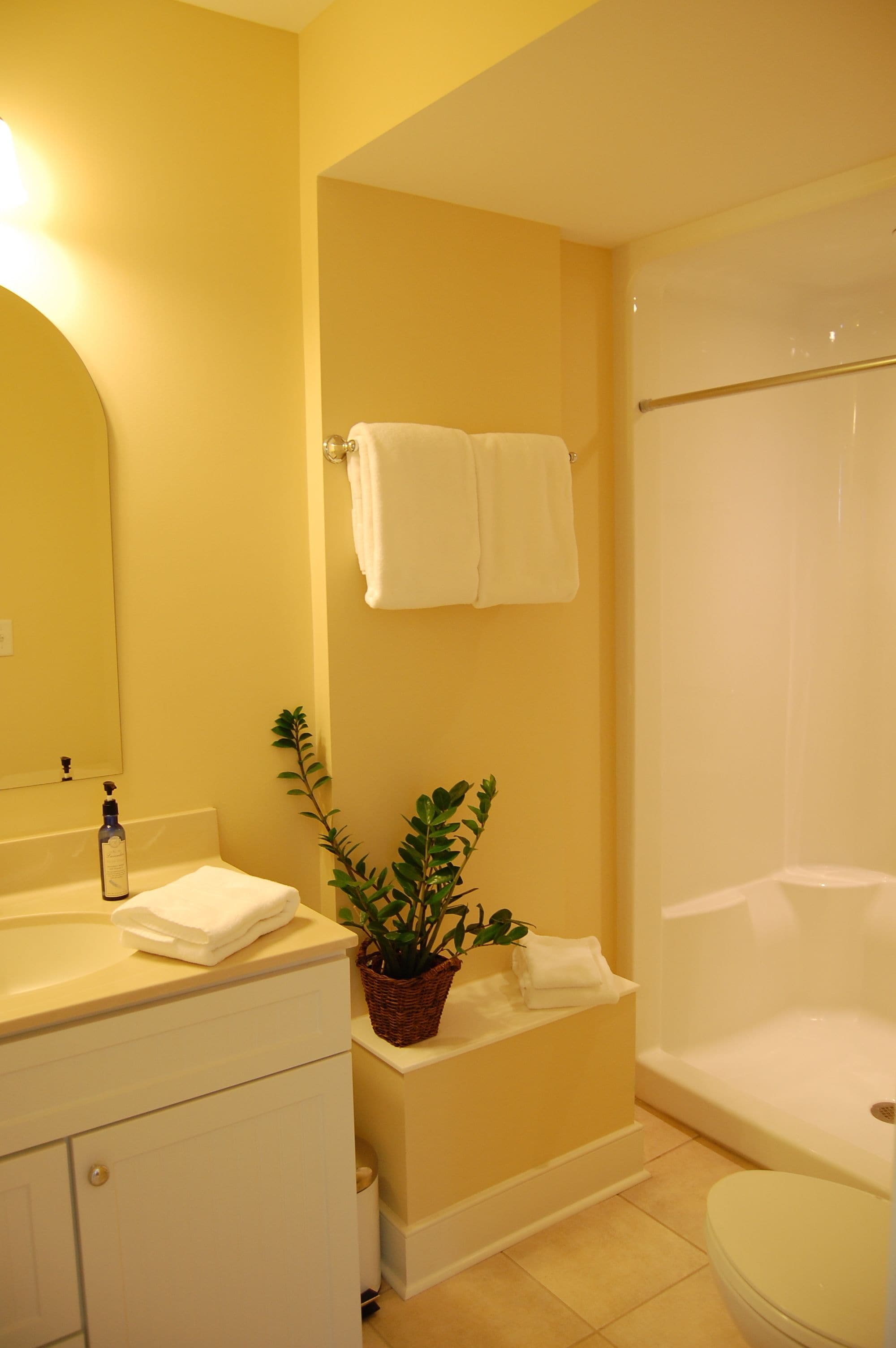 Un baño con lavamanos, espejo, toallero, planta en maceta y bañera.