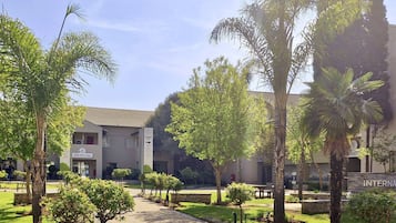 Experience a serene atmosphere in our beautifully maintained courtyard, surrounded by lush greenery and leading to the reception area.