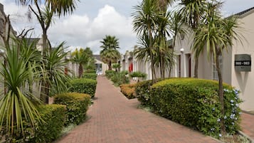 Silverbirch | Courtyard view