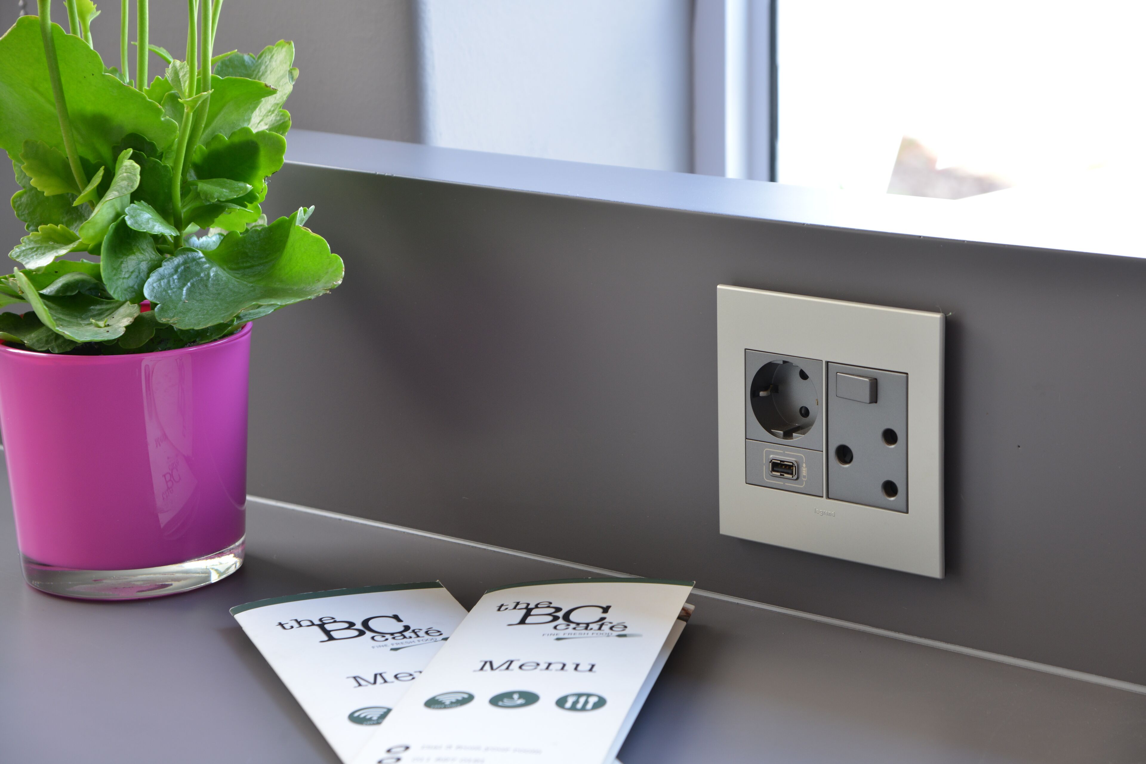 A potted plant, a power outlet, and a menu on a counter.