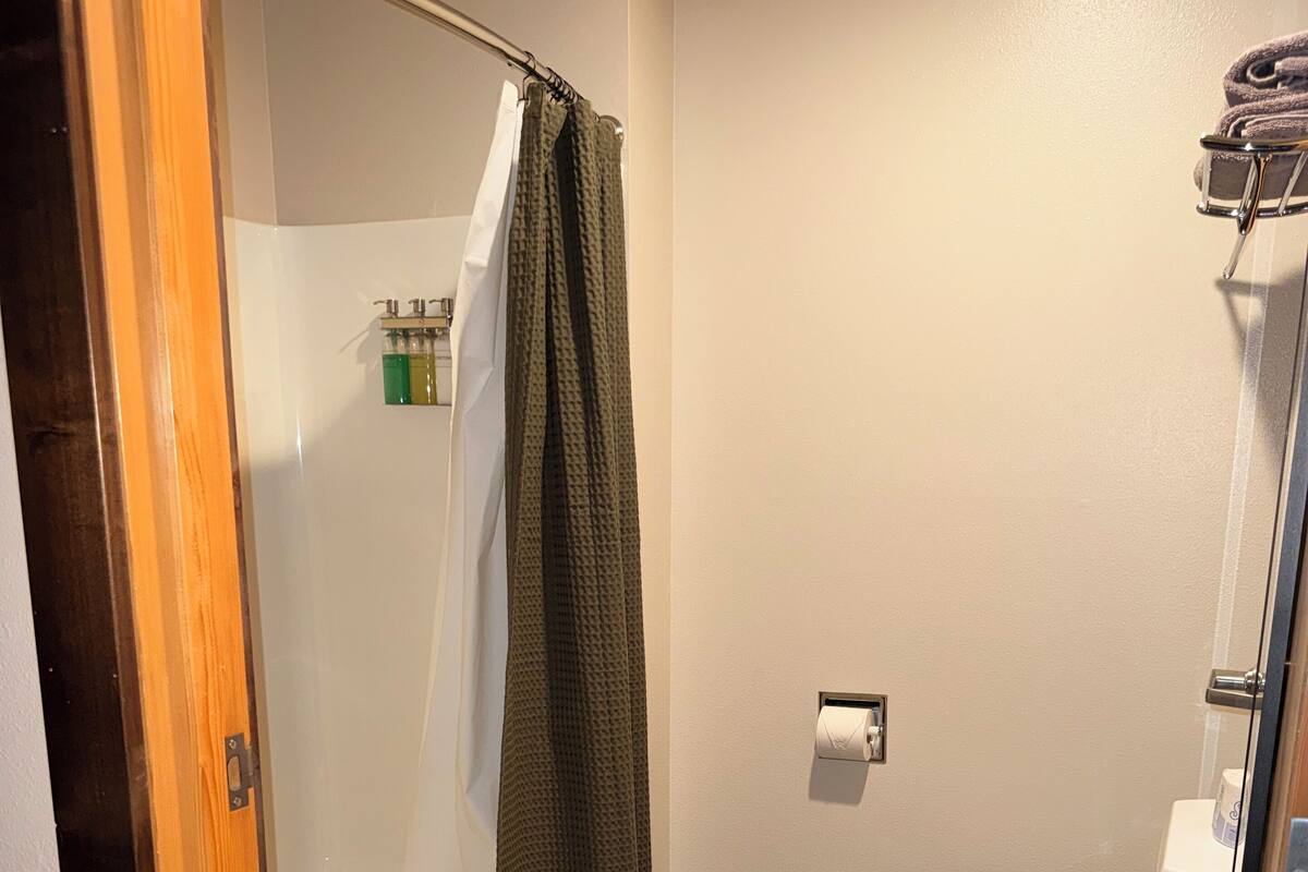 A bathroom with a shower, toilet, and a wooden floor.