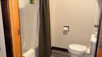 Un baño con ducha, inodoro y suelo de madera.