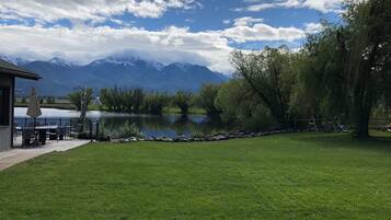 Vista desde la habitación