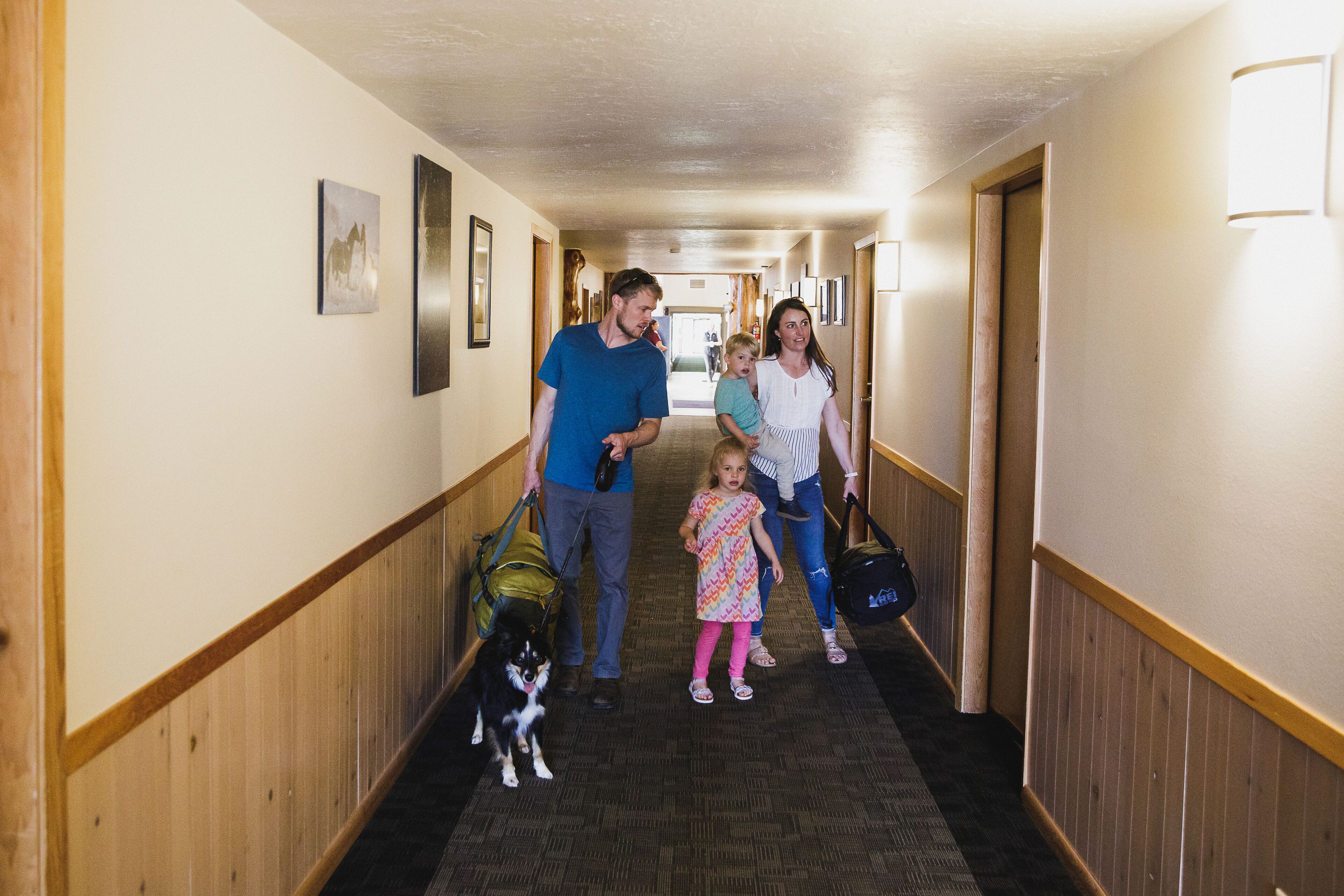 En hotellkorridor med träpanel på väggarna, ett heltäckningsmatta på golvet och inramade tavlor på väggarna.