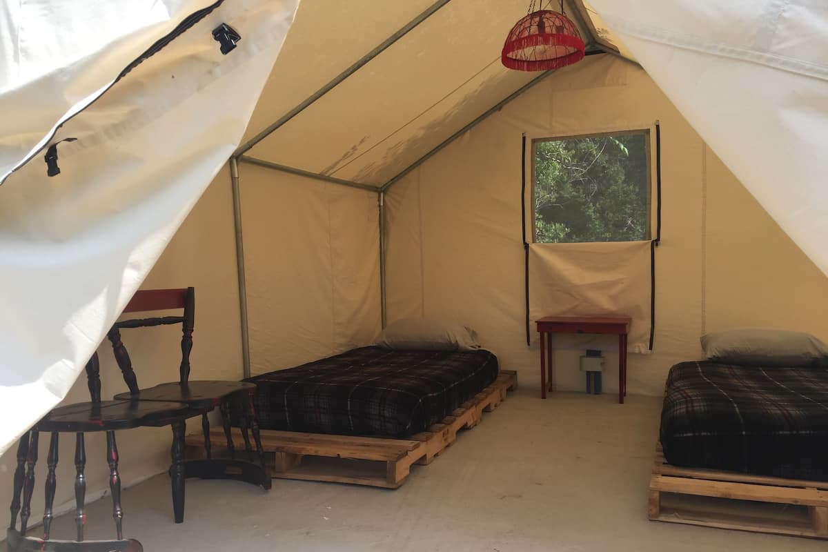 A tent with two beds, a chair, a small table, and a window with a view of trees.