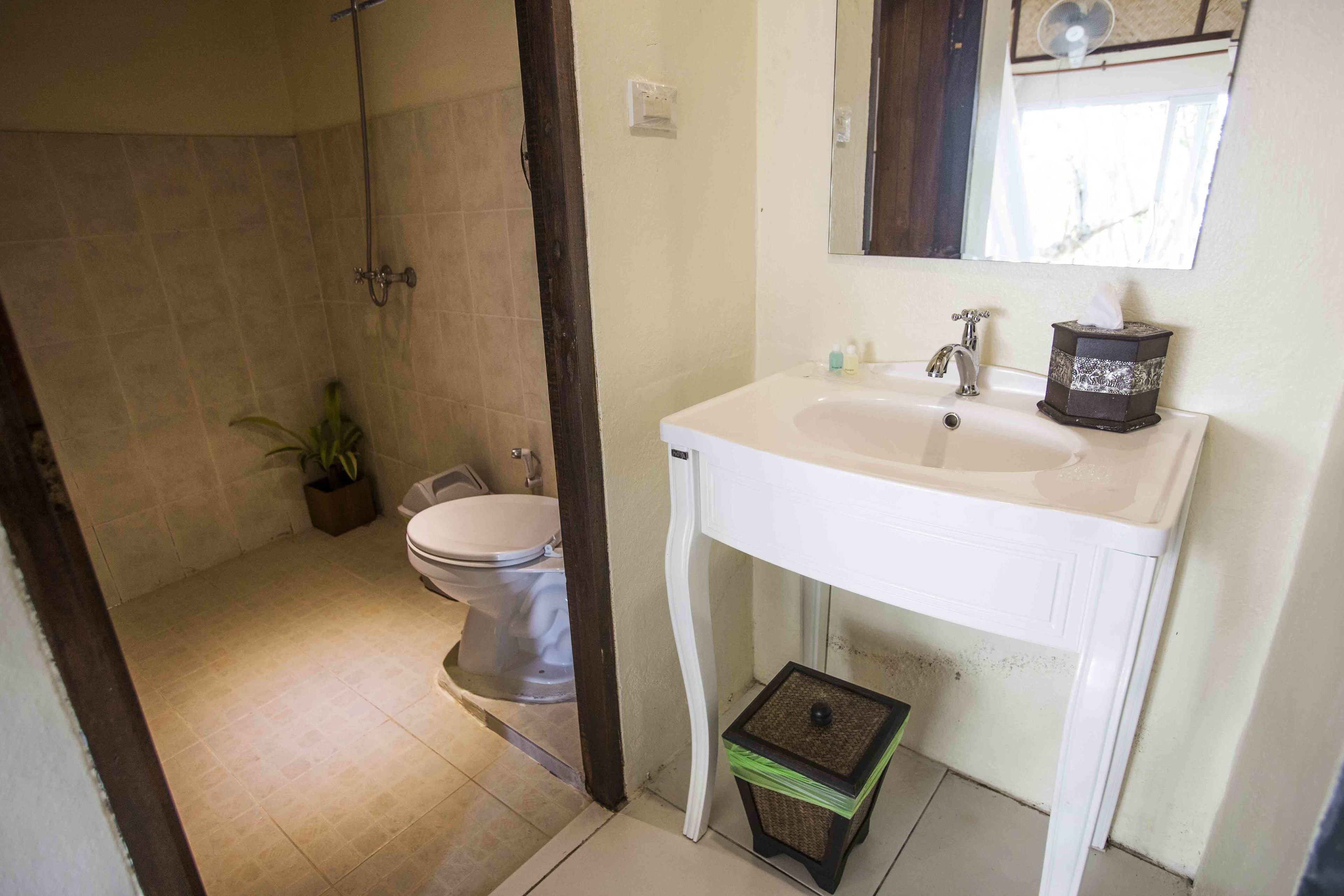 A bathroom with a white sink, a mirror above it, and a toilet. There is a shower area with a glass door and a potted plant.