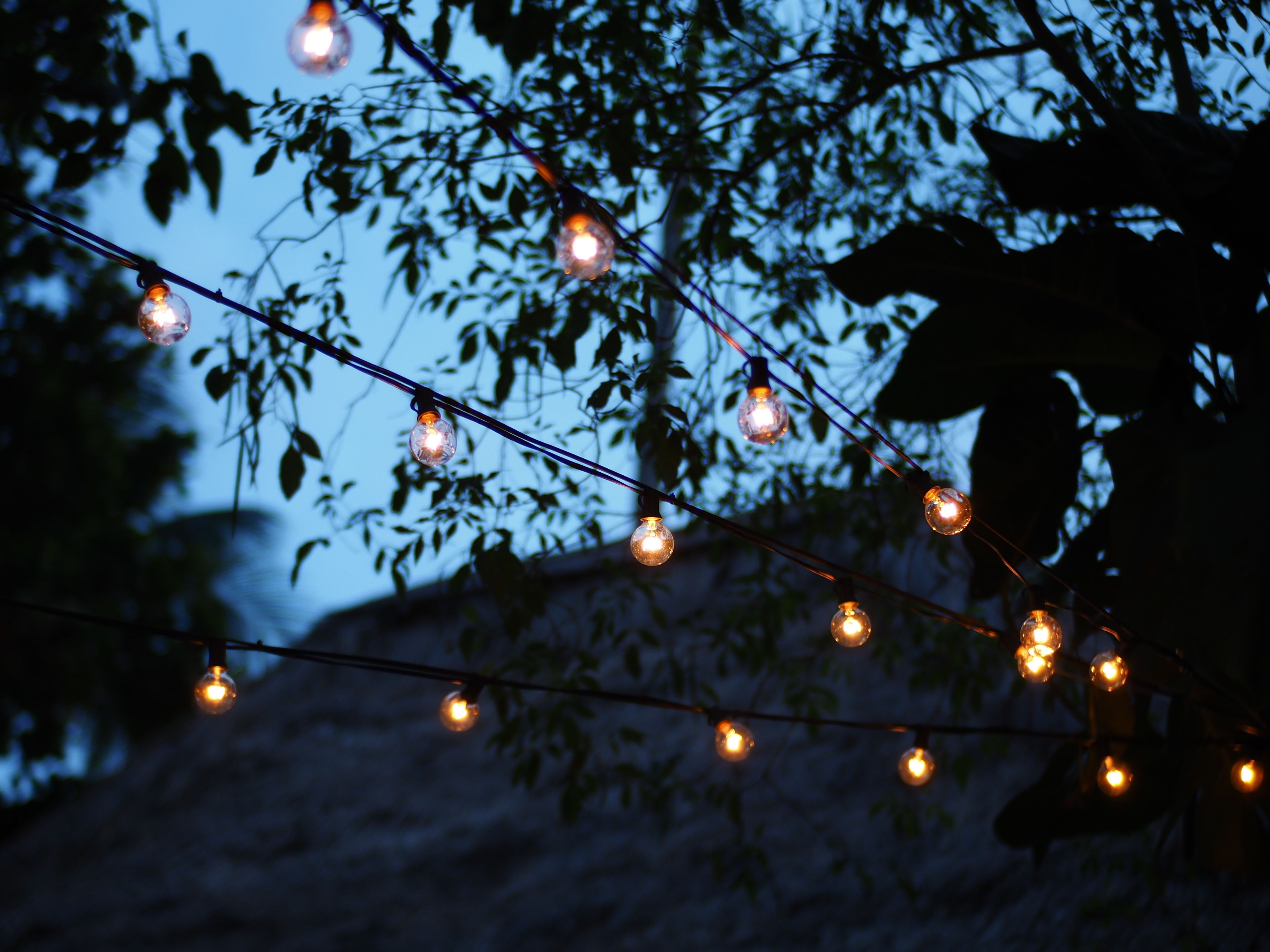 Photo - Bubble Bungalow