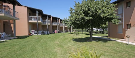 A courtyard with a well-maintained lawn, a large tree, and a building with balconies and outdoor seating.