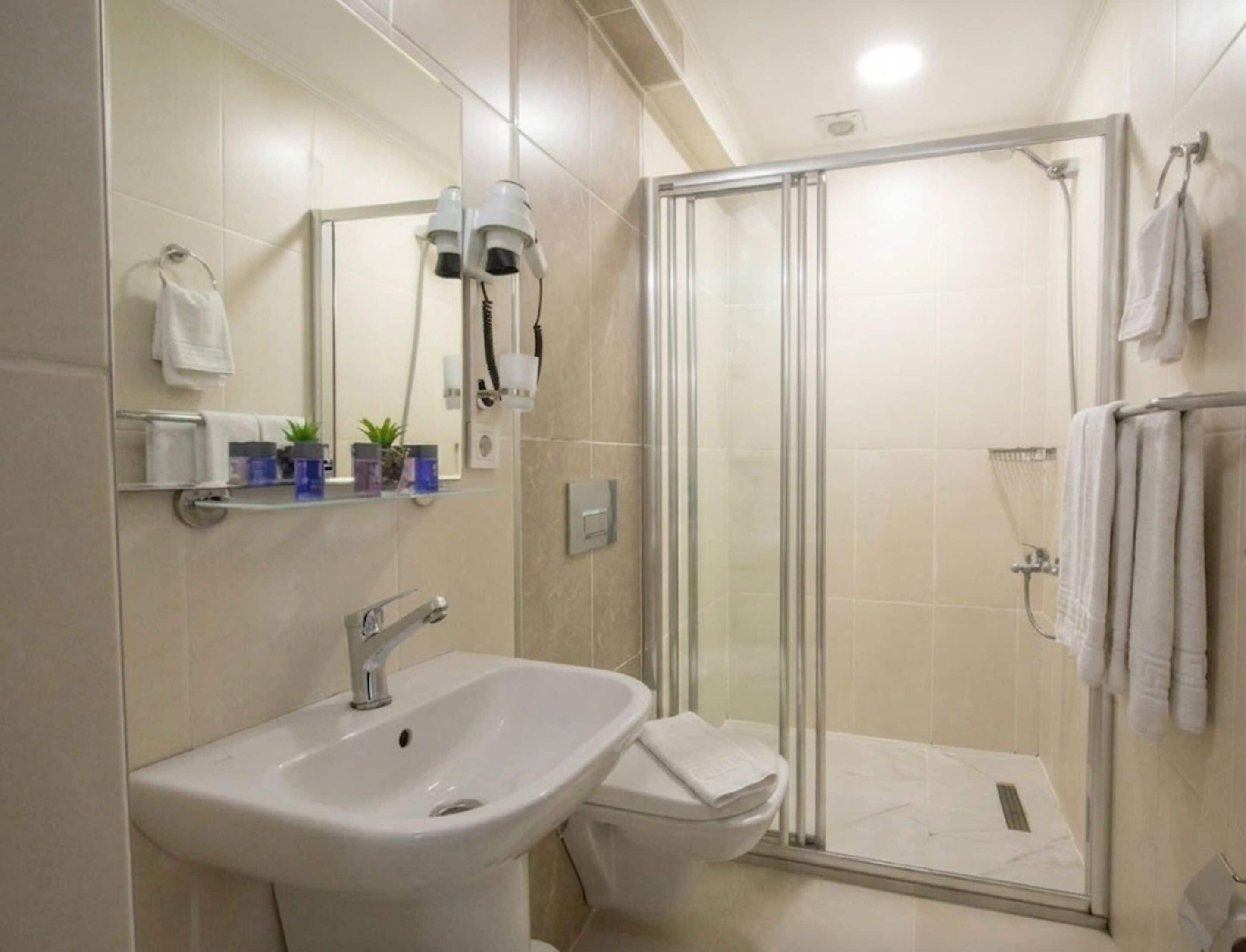 A bathroom with a glass shower enclosure, a sink, a toilet, and a mirror.