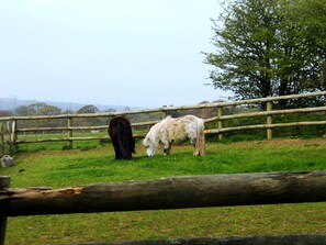 The Old Bathhouse | View from room - Lamphey Studios (Pembroke)
