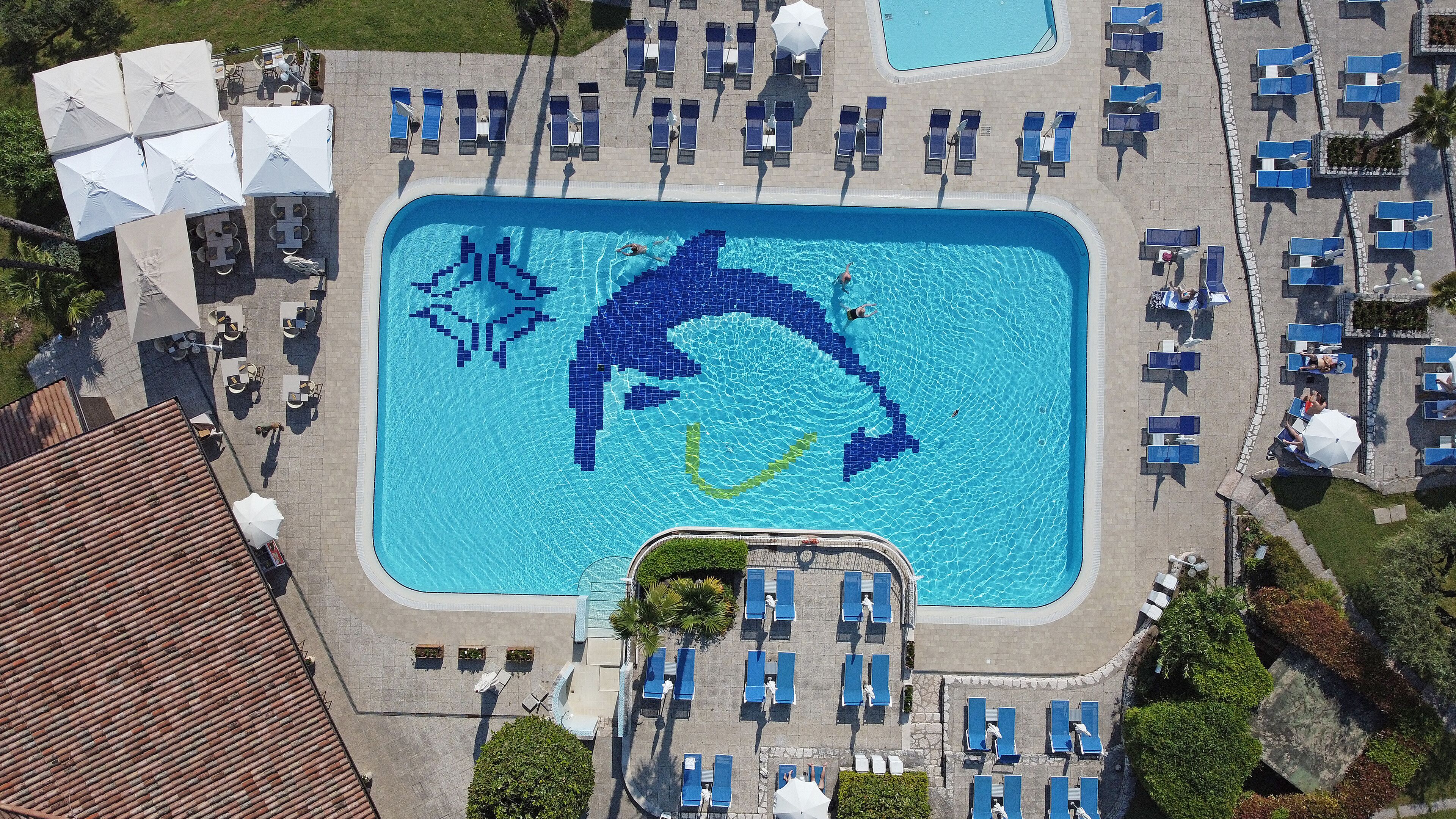 Oversigtsbillede af en swimmingpool med et delfinmosaik, omgivet af liggestole og parasoller.