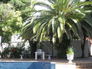 Outdoor pool - Applegarth B&B and Self Catering Studios (Cape Town)