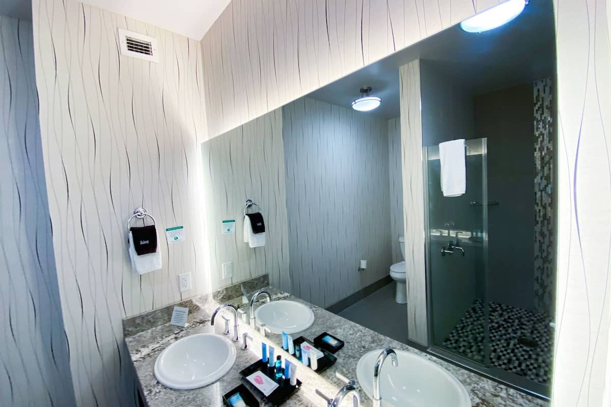 shower, hydromassage showerhead, designer toiletries, hair dryer