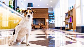 Comodidades da propriedade