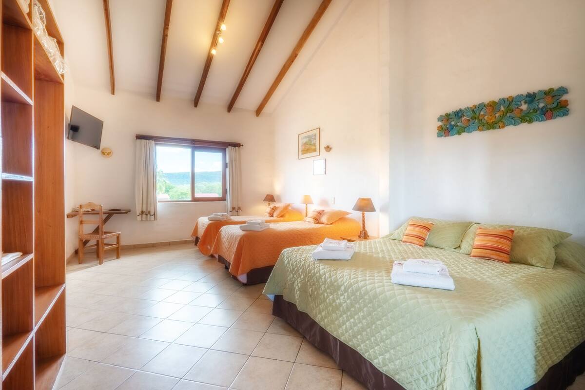 Habitación Ejecutiva Cuádruple | Een minibar, een kluis op de kamer, individueel gedecoreerd