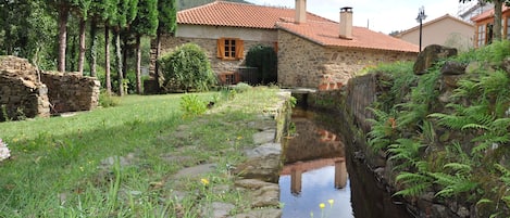 Jardin