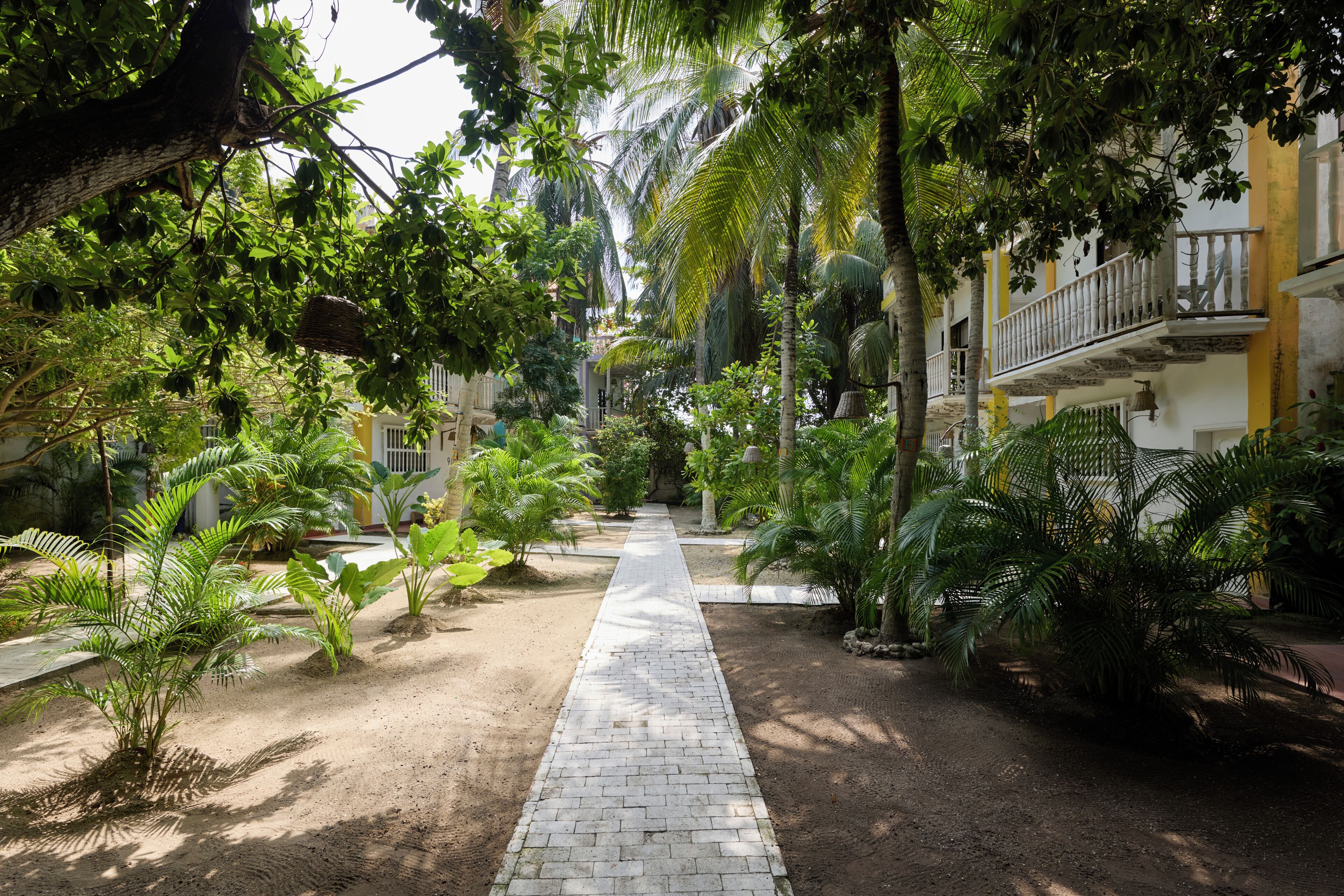 A paved pathway flanked by lush greenery and buildings with balconies.
