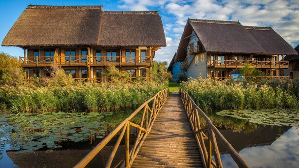 A wooden bridge leading to a building with a thatched roof, surrounded by water and vegetation. - Green Village Resort (Sfantu Gheorghe)