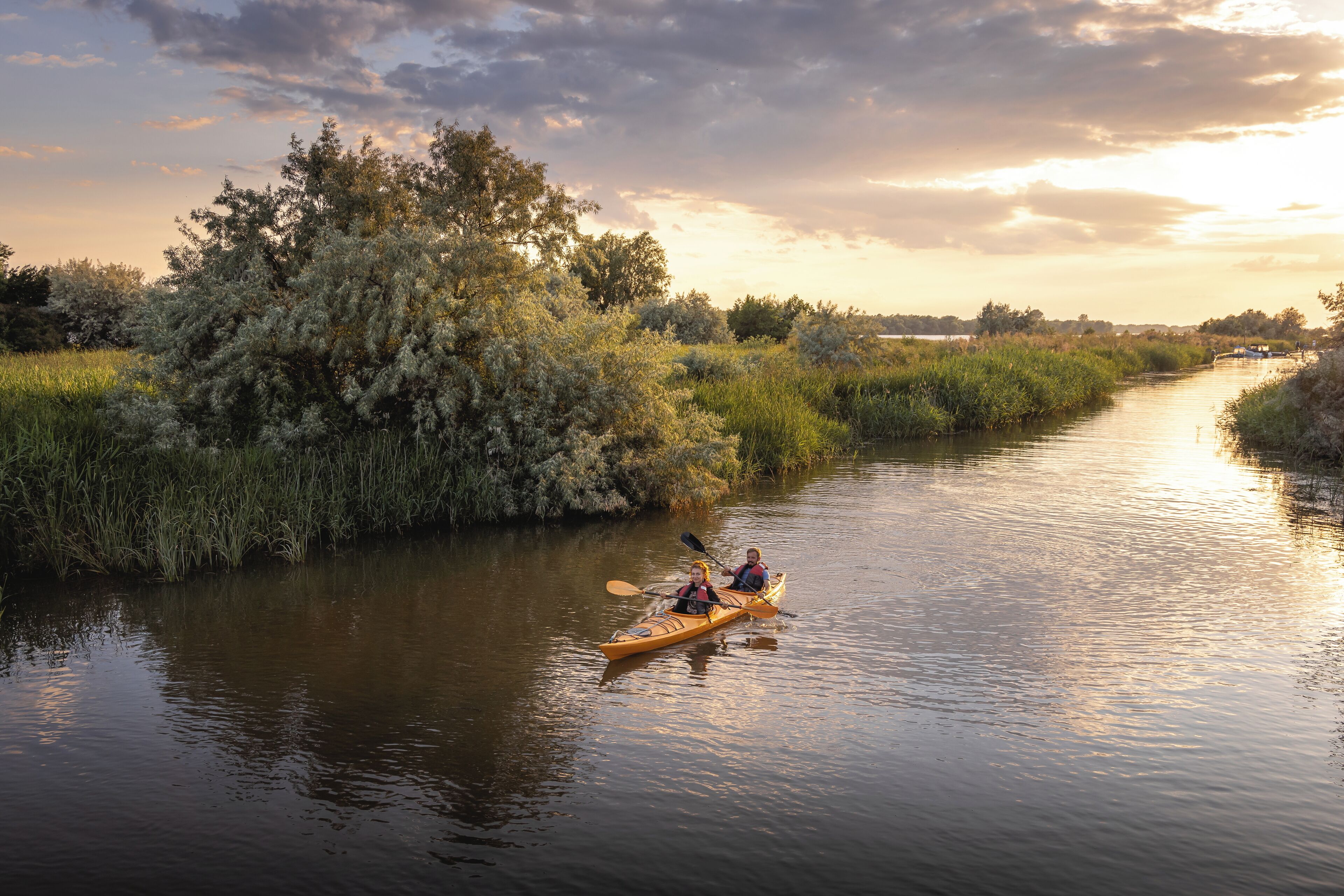 Kayak
