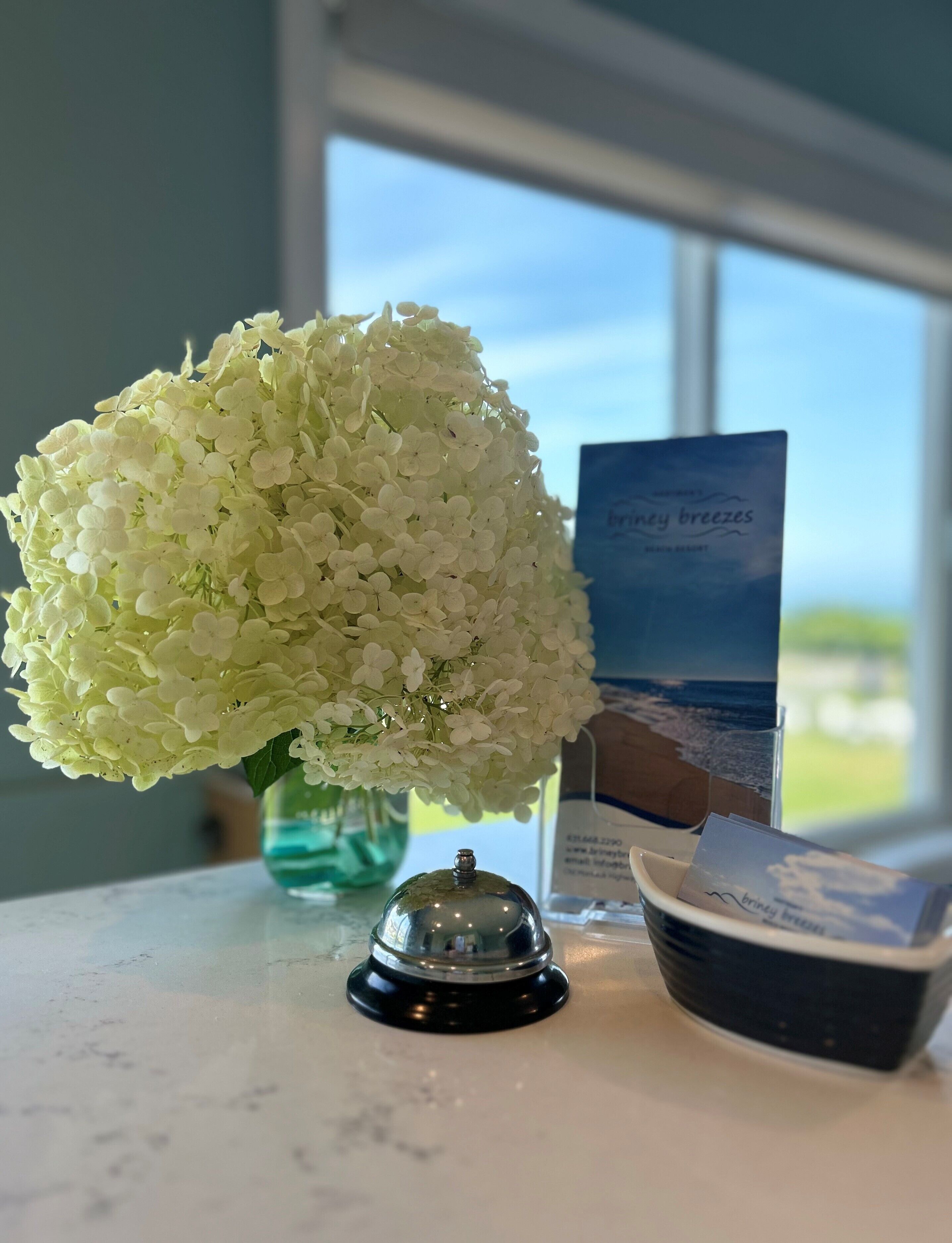 Une table avec une fleur d’hortensia blanche, un verre d’eau, un menu et un petit bol noir.